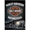 Toalla de Playa Microfibra Harley Davidson 180 x 100 cm