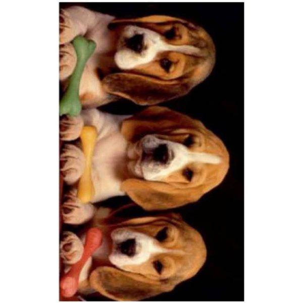 Toalha de Praia Microfibra Cãezinhos 180 x 100 cm