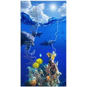Toalla de Playa de Microfibra Mapa de Portugal Delfines 180 x 100 cm
