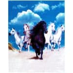 Toalla de Playa Doble Cavalos con Bolsa