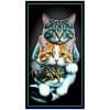 Toalla-de-Playa-Microfibra-Tres-Gatos